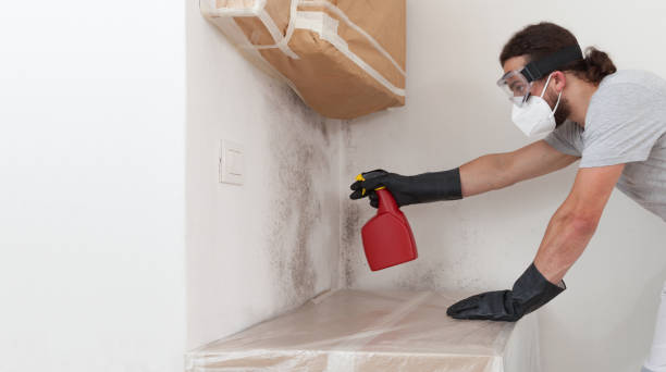 Professional Mold Inspection And Testing technician working in Newton, MA